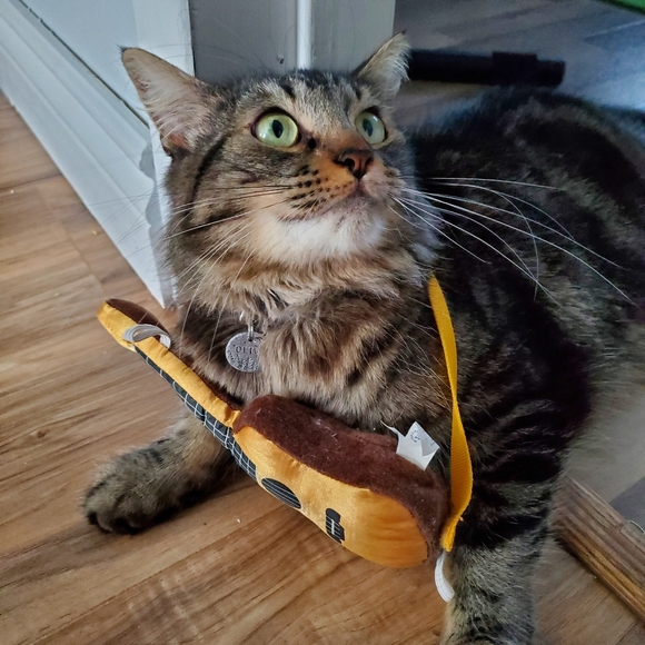 this is Olive!!! - Picture 2 of 4